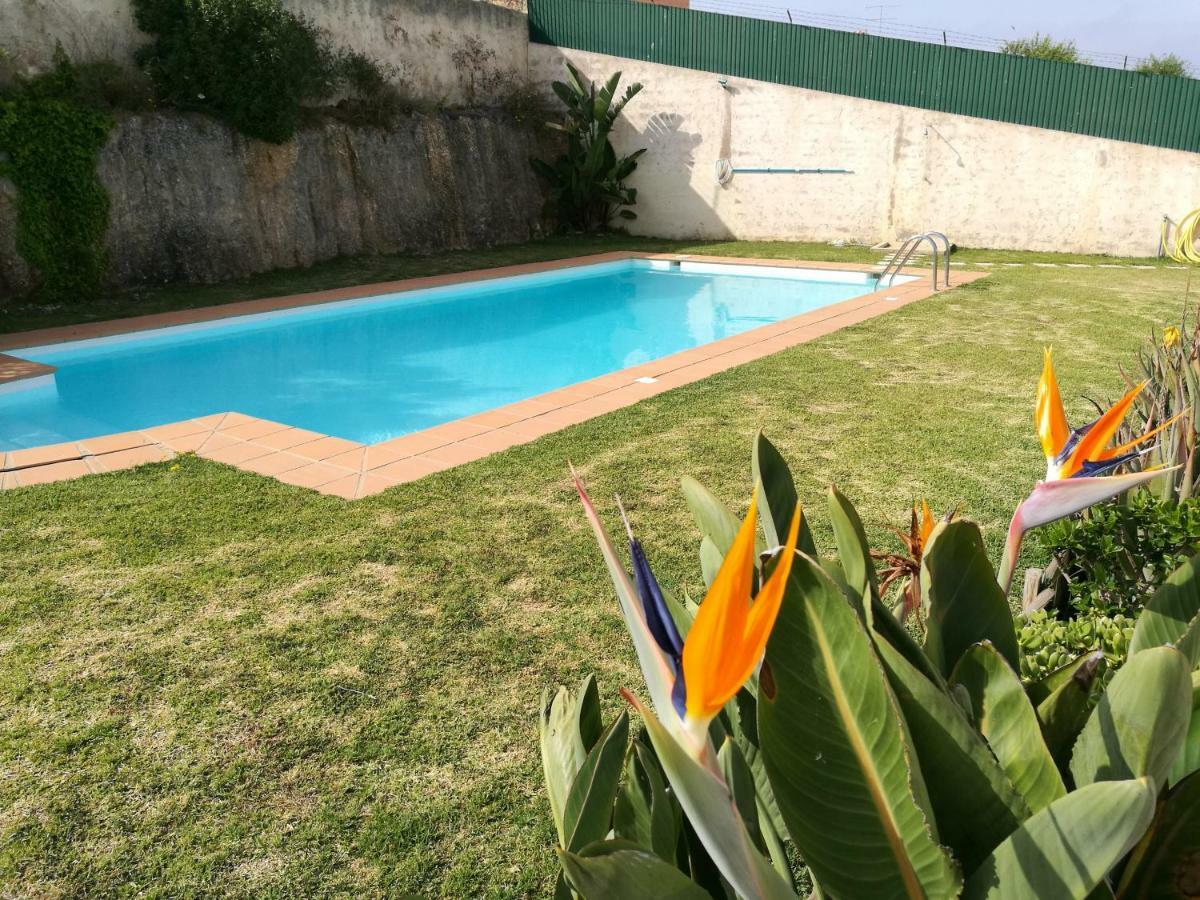 Apartamento Patel Apartment การ์วอยโร ภายนอก รูปภาพ